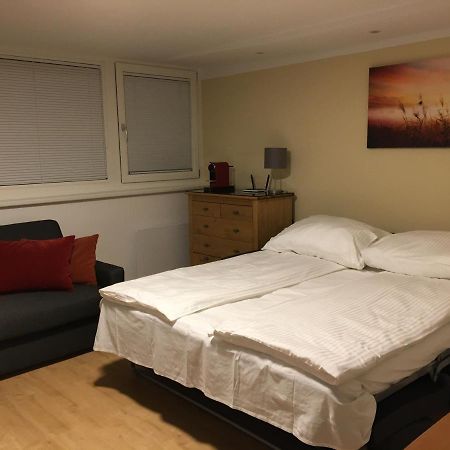 Cosy Flat In The Quiet Area With Own Garden, Free Parking And Direct Public Transport Link To The Centre Appartement Wenen Buitenkant foto