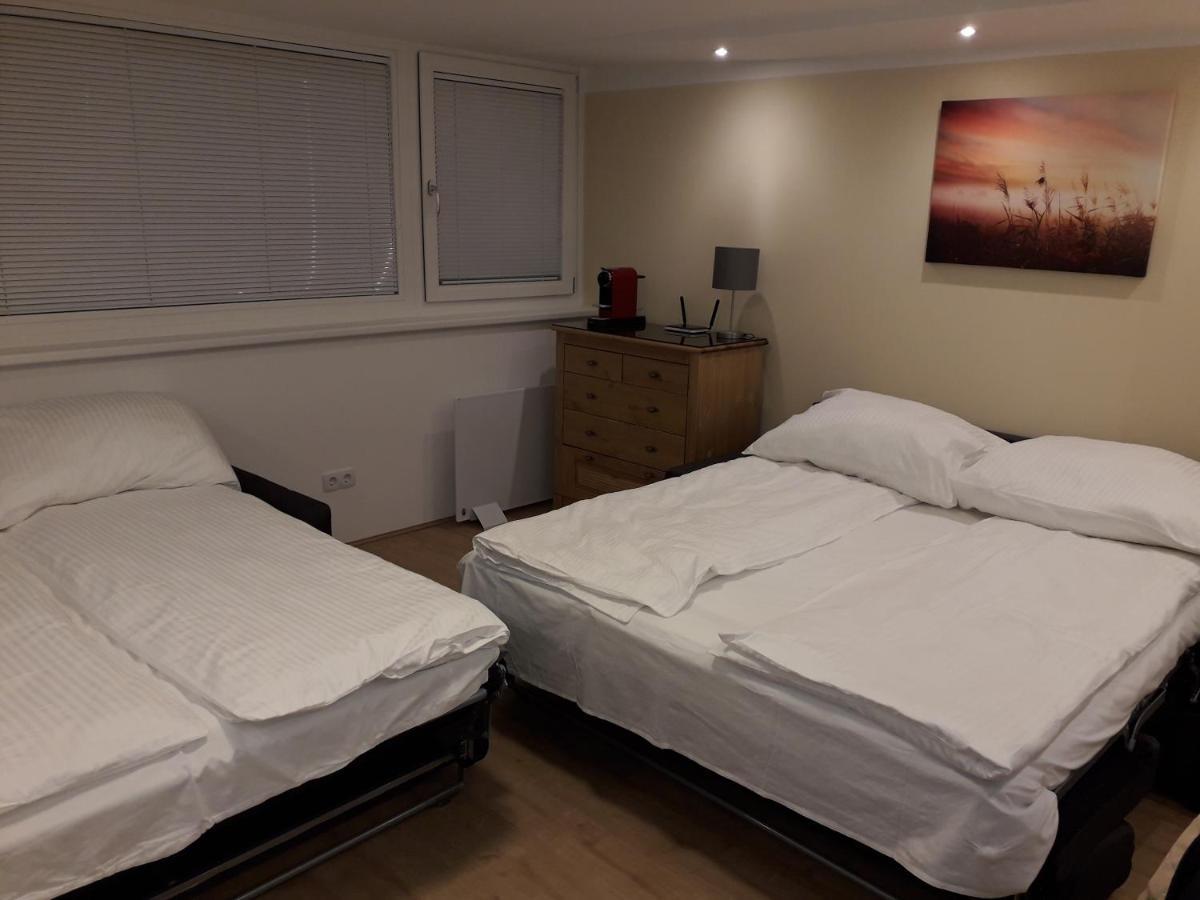 Cosy Flat In The Quiet Area With Own Garden, Free Parking And Direct Public Transport Link To The Centre Appartement Wenen Buitenkant foto